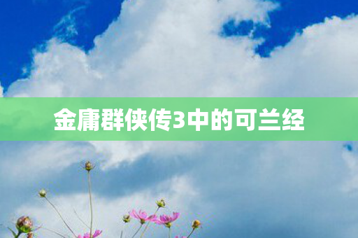 金庸群侠传3中的可兰经图片