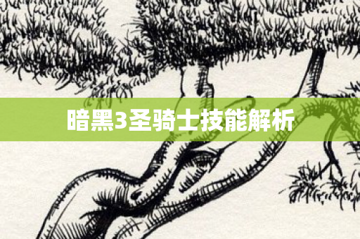 暗黑3圣骑士技能解析图片