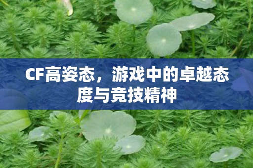 游戏中的卓越态度与竞技精神图片
