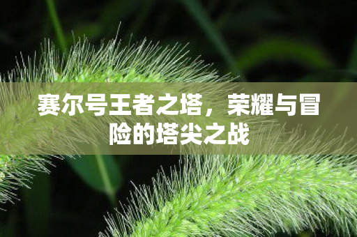 荣耀与冒险的塔尖之战图片