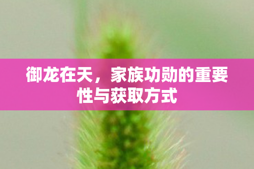 家族功勋的重要性与获取方式图片