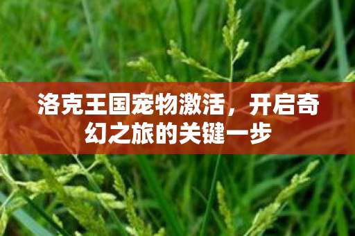 开启奇幻之旅的关键一步图片