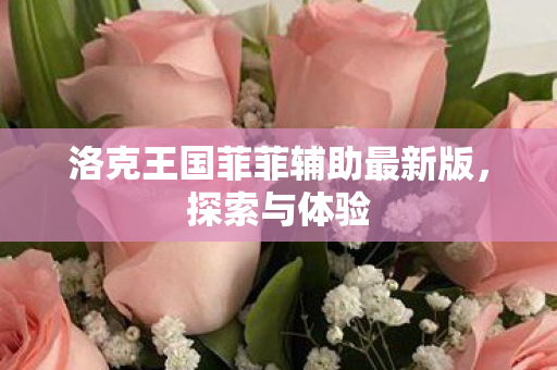 洛克王国菲菲辅助最新版图片