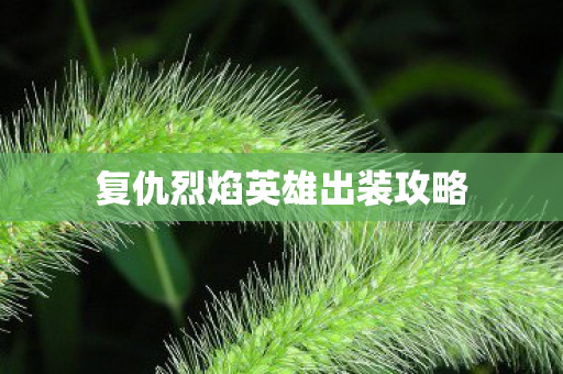 复仇烈焰英雄出装攻略图片