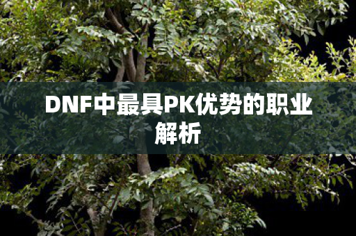 DNF中最具PK优势的职业解析图片