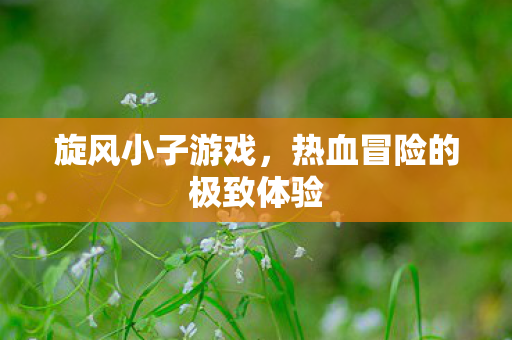 热血冒险的极致体验图片