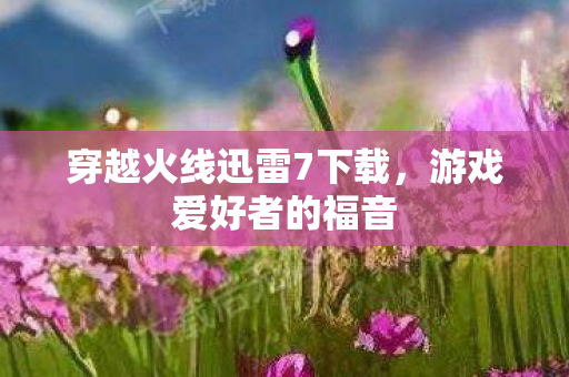 穿越火线迅雷7下载图片
