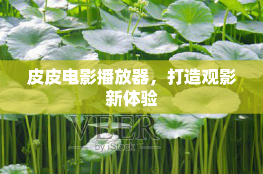 皮皮电影播放器图片