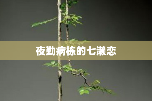 夜勤病栋的七濑恋图片