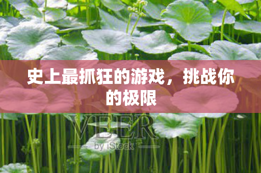 史上最抓狂的游戏图片