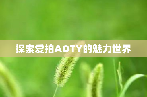 探索爱拍AOTY的魅力世界图片