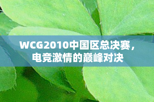 WCG2010中国区总决赛图片