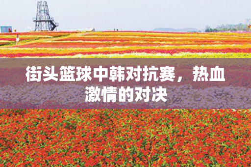 街头篮球中韩对抗赛图片
