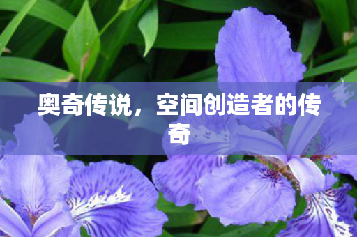 空间创造者的传奇图片