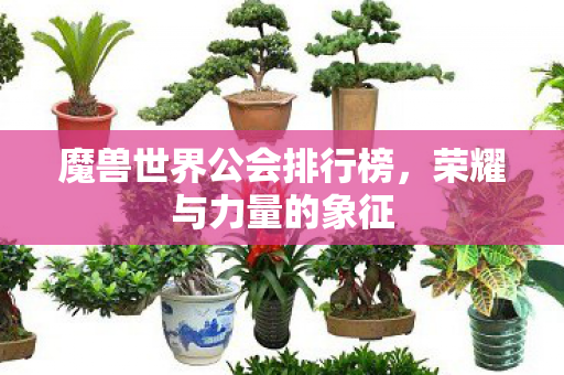 魔兽世界公会排行榜图片