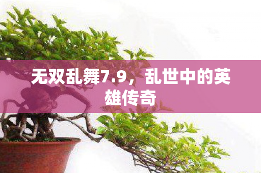 乱世中的英雄传奇图片
