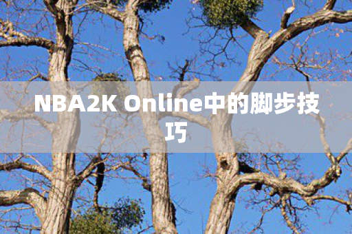 NBA2K Online中的脚步技巧图片