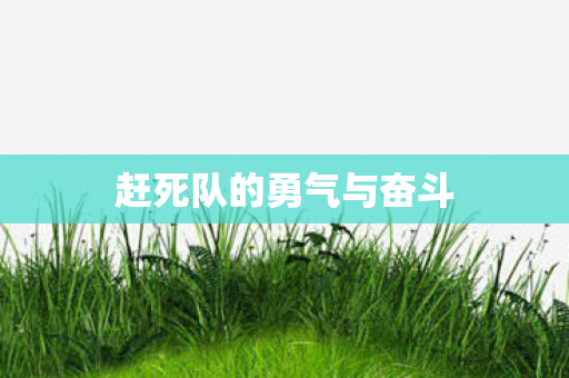 赶死队的勇气与奋斗图片