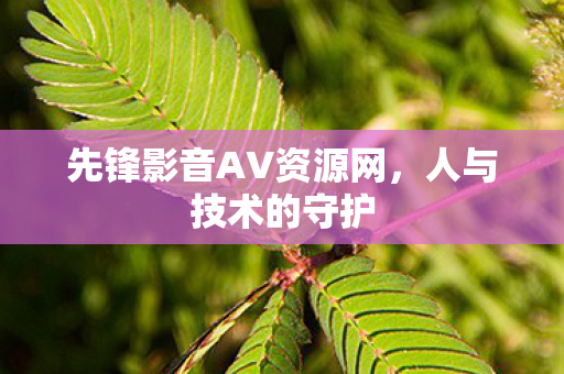 先锋影音AV资源网,人与技术的守护 先锋影音AV资源网,人与技术的守护