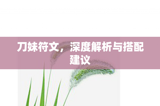 深度解析与搭配建议图片