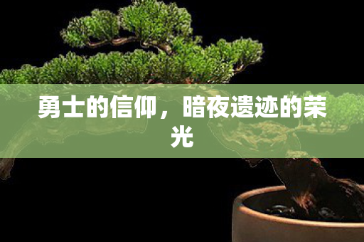 暗夜遗迹的荣光图片