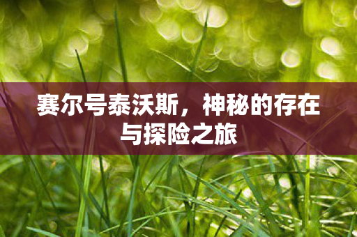 神秘的存在与探险之旅图片