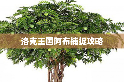 洛克王国阿布捕捉攻略图片