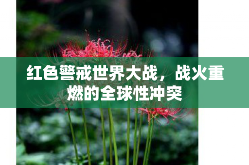 战火重燃的全球性冲突图片