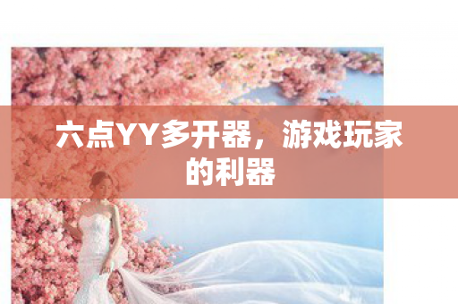 六点YY多开器图片