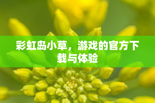 游戏的官方下载与体验图片