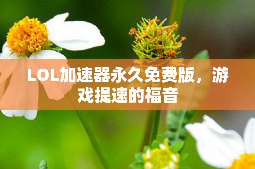 LOL加速器永久免费版图片
