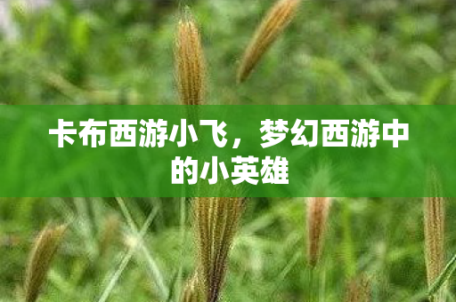 梦幻西游中的小英雄图片