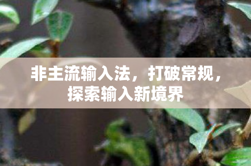 探索输入新境界图片