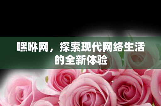 探索现代网络生活的全新体验图片