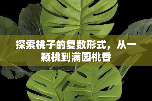 探索桃子的复数形式图片