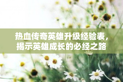 热血传奇英雄升级经验表图片