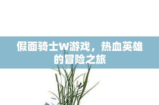 热血英雄的冒险之旅图片