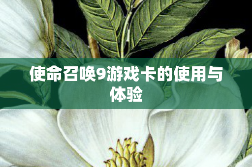 使命召唤9游戏卡的使用与体验图片