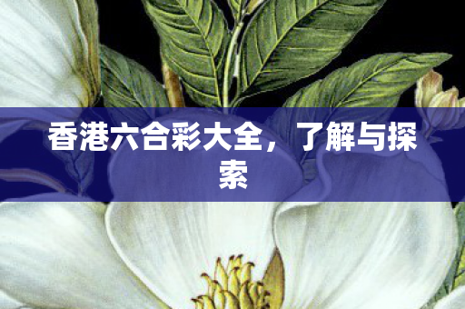 香港六合彩大全图片
