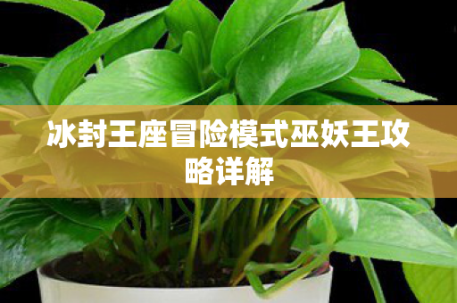 冰封王座冒险模式巫妖王攻略详解 冰封王座冒险模式巫妖王攻略详解