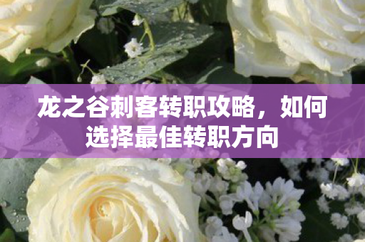 如何选择最佳转职方向图片