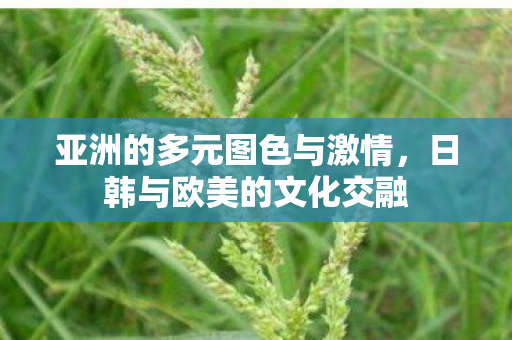 亚洲的多元图色与激情图片
