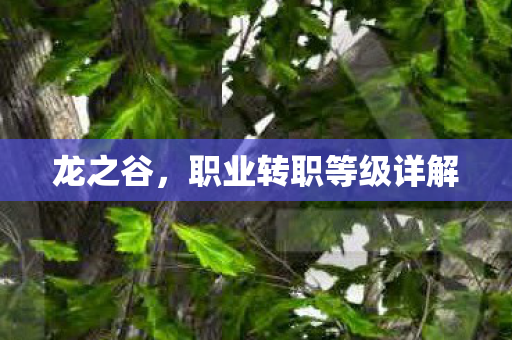 职业转职等级详解图片