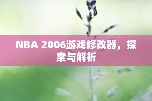 NBA 2006游戏修改器图片