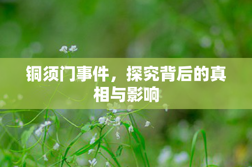 铜须门事件,探究背后的真相与影响 铜须门事件,探究背后的真相与影响