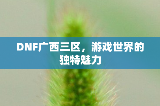 游戏世界的独特魅力图片