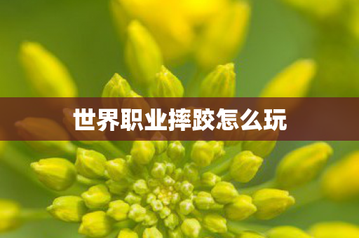 世界职业摔跤怎么玩图片