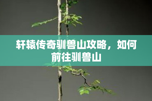 轩辕传奇驯兽山攻略图片