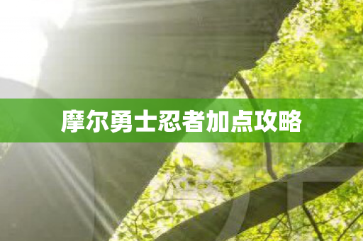 摩尔勇士忍者加点攻略 摩尔勇士忍者加点攻略
