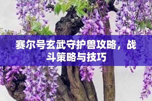 赛尔号玄武守护兽攻略图片